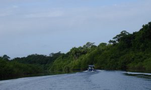 https://www.anywhere.com/guatemala/attractions/la-pasion-river-river